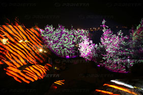 proiezione sugli alberi